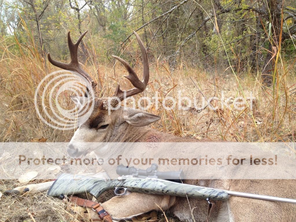 .243 Shoulder shots or lung shots? 24hourcampfire
